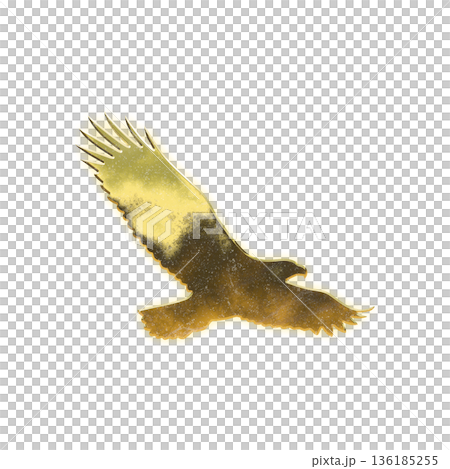 黄金の鷲、アルファチャンネル 136185255