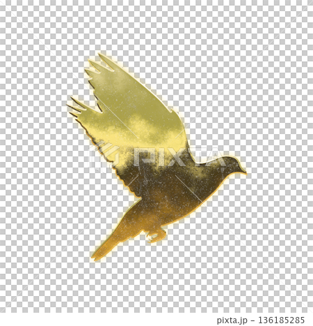 帶有 Alpha 通道的金鴿 136185285