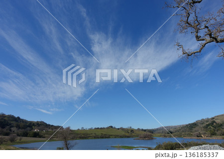 青空に拡がるスジ雲 青空に拡がるスジ雲 136185337