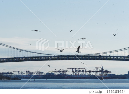 東京湾風景 東京湾風景 136185424