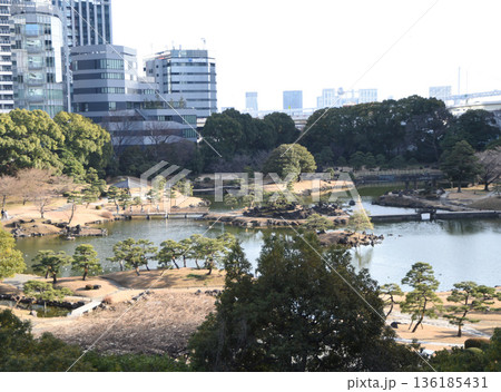都会の庭園 136185431