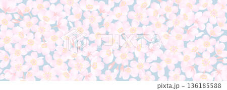桜の花を敷き詰めたようなベクター背景イラスト 136185588