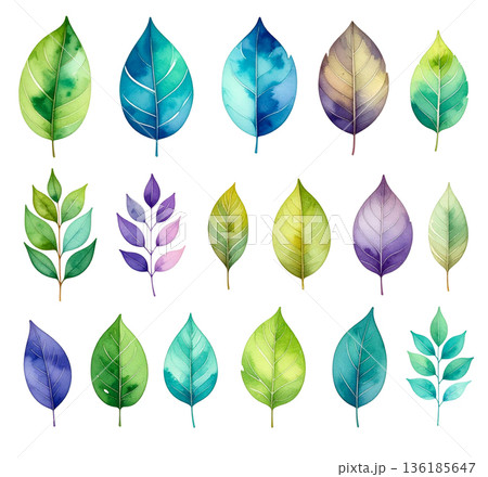 水彩画の葉のイラスト素材セット 136185647