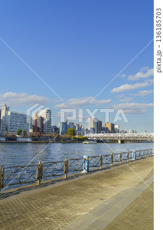 【東京都】隅田川と隅田川橋梁(すみだリバーウォーク) 【東京都】隅田川と隅田川橋梁(すみだリバーウォーク) 136185703