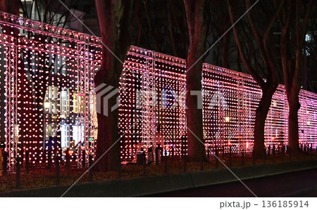 杜の都仙台　新たに誕生したウィンターイルミネーション・センダイ ブライトナイツ ストーリー 136185914