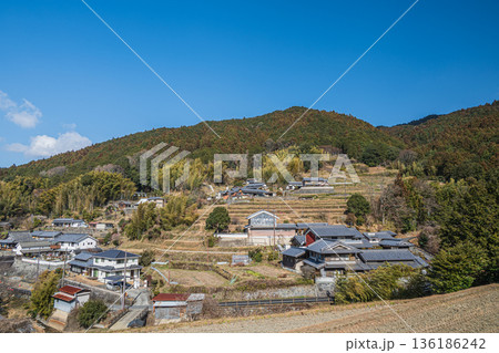 明日香村上（かむら）地区の棚田風景　奈良県 136186242