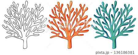 Vector Illustration Set of Sea Coral in Outline and Color 136186381