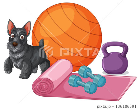 Scottish Terrier Standing Next to Fitness Equipment and Yoga Mat Scottish Terrier Standing Next to Fitness Equipment and Yoga Mat 136186391