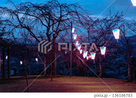 西山公園（西山荘近辺） 136186783