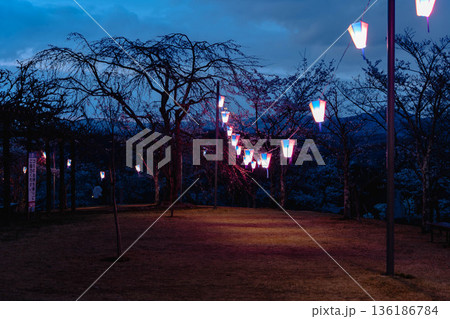 西山公園（西山荘近辺） 136186784