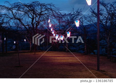 西山公園（西山荘近辺） 136186785