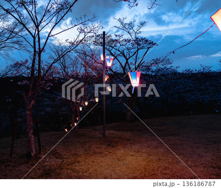 西山公園(西山荘近辺) 西山公園(西山荘近辺) 136186787