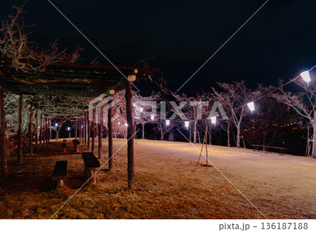 西山公園(西山荘近辺) 西山公園(西山荘近辺) 136187188