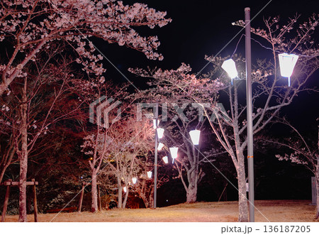 西山公園(西山荘近辺) 西山公園(西山荘近辺) 136187205
