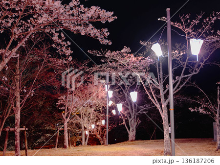 西山公園(西山荘近辺) 西山公園(西山荘近辺) 136187206