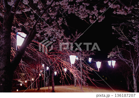 西山公園(西山荘近辺) 西山公園(西山荘近辺) 136187207