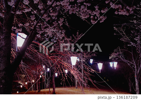 西山公園（西山荘近辺） 136187209