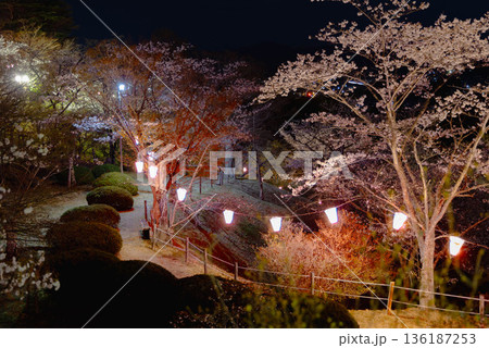 西山公園(西山荘近辺) 西山公園(西山荘近辺) 136187253