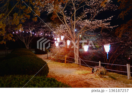 西山公園（西山荘近辺） 136187257