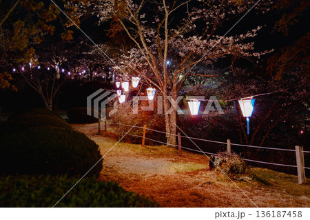 西山公園(西山荘近辺) 西山公園(西山荘近辺) 136187458