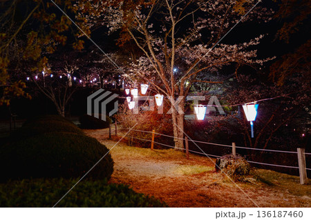 西山公園(西山荘近辺) 西山公園(西山荘近辺) 136187460