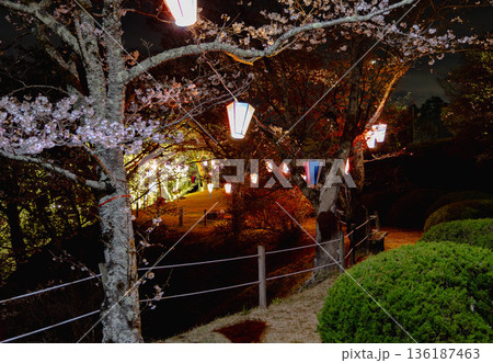 西山公園（西山荘近辺） 136187463