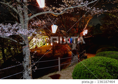 西山公園（西山荘近辺） 136187464