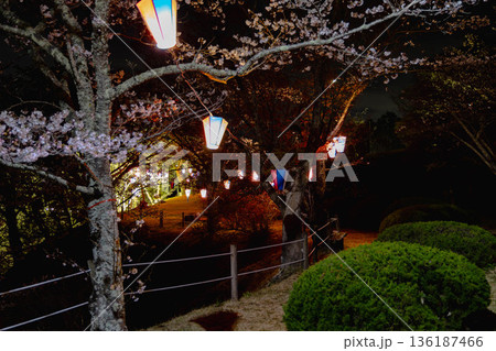 西山公園（西山荘近辺） 136187466