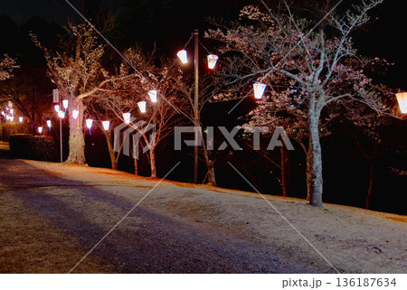 西山公園（西山荘近辺） 136187634