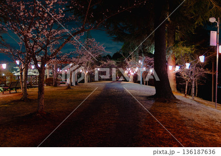 西山公園(西山荘近辺) 西山公園(西山荘近辺) 136187636