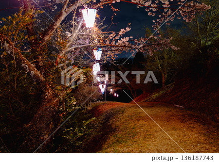 西山公園(西山荘近辺) 西山公園(西山荘近辺) 136187743