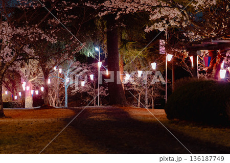西山公園（西山荘近辺） 136187749