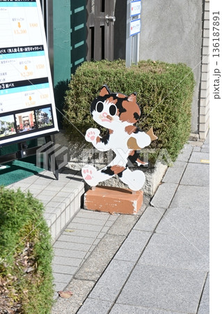 三毛猫の飛び出し坊や 三毛猫の飛び出し坊や 136187891