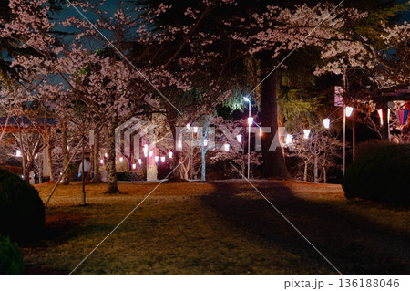 西山公園（西山荘近辺） 136188046
