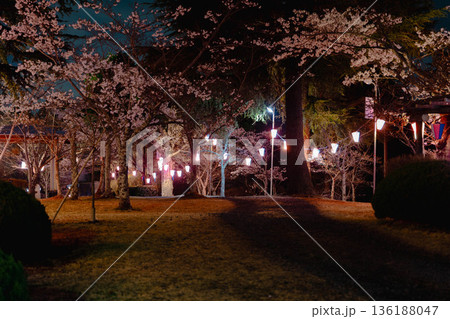 西山公園（西山荘近辺） 136188047