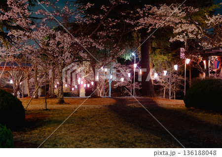 西山公園（西山荘近辺） 136188048