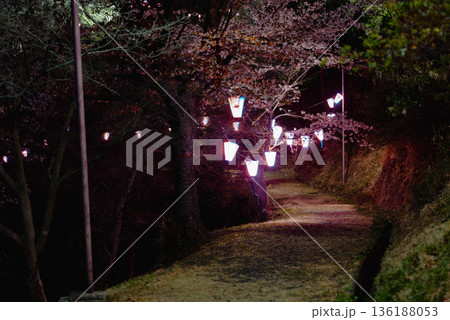 西山公園(西山荘近辺) 西山公園(西山荘近辺) 136188053