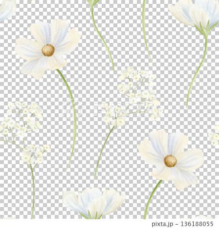 Blooming white spring wildflowers watercolor seamless pattern. White cosmos and Matthiola flowers repeat background for simple light garden designs. Naive monochrome floral backdrop Blooming white spring wildflowers watercolor seamless pattern. White cosmos and Matthiola flowers repeat background for simple light garden designs. Naive monochrome floral backdrop 136188055