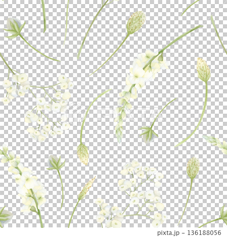 Pastel green wildflowers watercolor seamless pattern on white. Spring blooming meadow with grass and tiny field flowers repeat background. Simple and delicate wallpaper, wrapping paper or fabric print 136188056