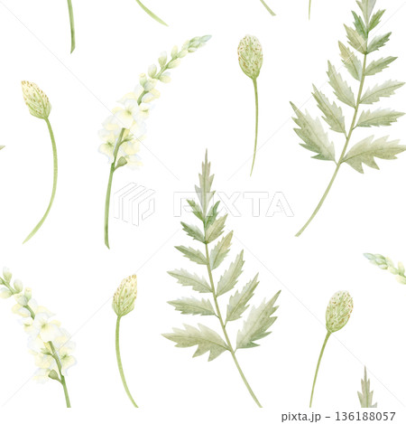 Watercolor spring floral seamless with pastel green wildflowers, white Matthiola flowers and fern leaves. Elegant repeat background with herbs for delicate backdrop and wallpapers 136188057