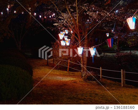 西山公園（西山荘近辺） 136188160