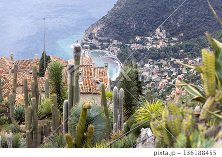 top view of Exotic Garden of Eze	 136188455