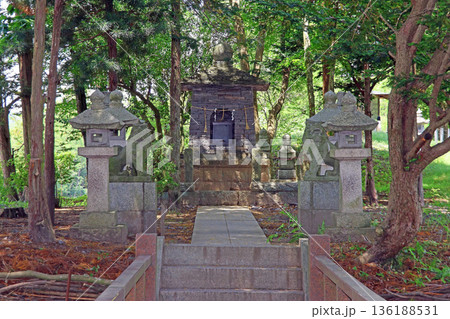 大王わさび農場（安曇野） 136188531