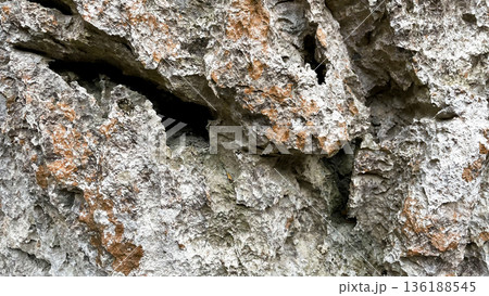 自然の造形が美しい岩のテクスチャ 自然の造形が美しい岩のテクスチャ 136188545