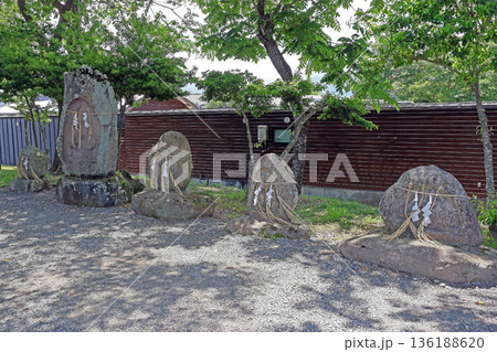 大王わさび農場(安曇野) 大王わさび農場(安曇野) 136188620