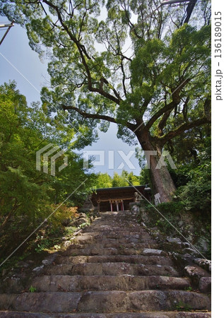 鳥栖市　四阿屋(あずまや)神社拝殿への石段 136189015