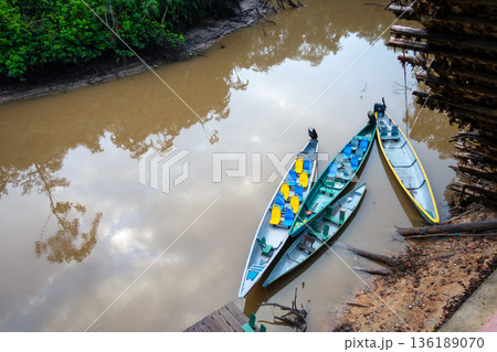 Canoes on the calm waters of Cuyabeno Reserve, Ecuador 136189070