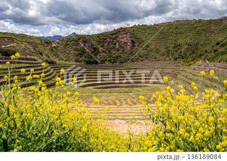 Inca agricultural terraces at Moray in the Sacred Valley, Peru Inca agricultural terraces at Moray in the Sacred Valley, Peru 136189084
