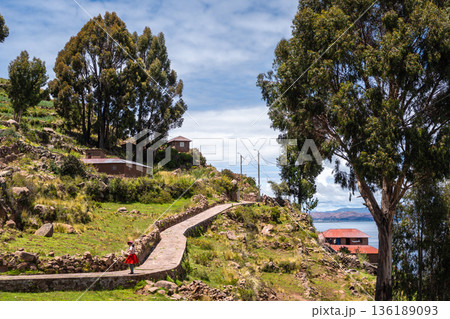 Houses and cultivated fields on Taquile Island, Lake Titicaca, Peru 136189093