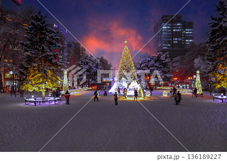 札幌のイルミネーション 136189227